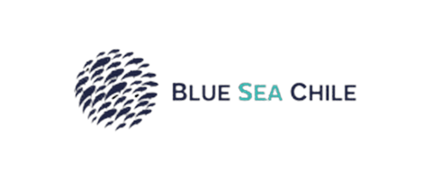 Logo Blue Sea - Cliente de Agencia i5